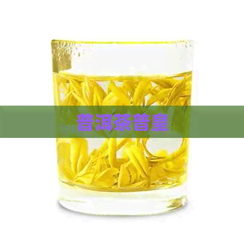 普洱茶普皇