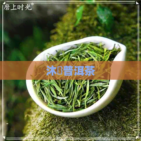 沐菓普洱茶