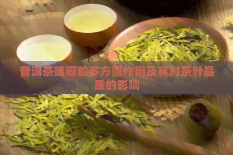 普洱茶摊晾的多方面作用及其对茶叶品质的影响