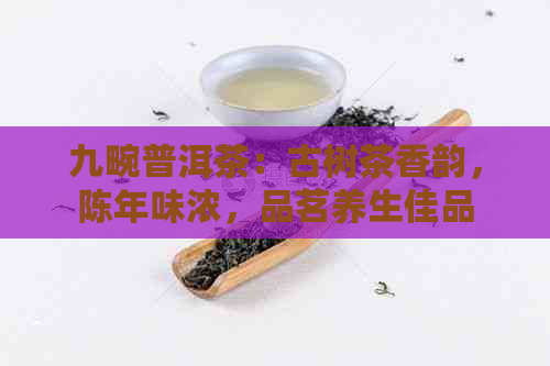 九畹普洱茶：古树茶香韵，陈年味浓，品茗养生佳品