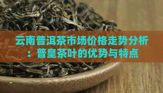 云南普洱茶市场价格走势分析：普皇茶叶的优势与特点