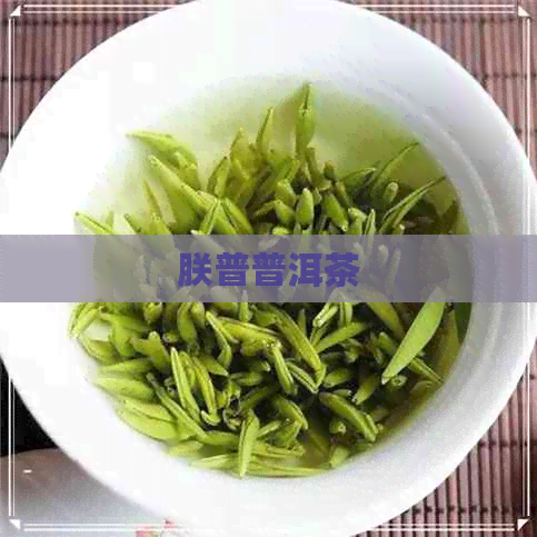 朕普普洱茶