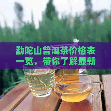 勐陀山普洱茶价格表一览，带你了解最新价格趋势