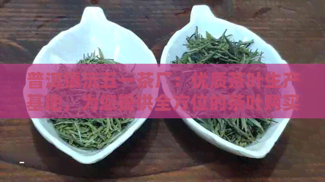 普洱镇沅五一茶厂：优质茶叶生产基地，为您提供全方位的茶叶购买与品鉴服务