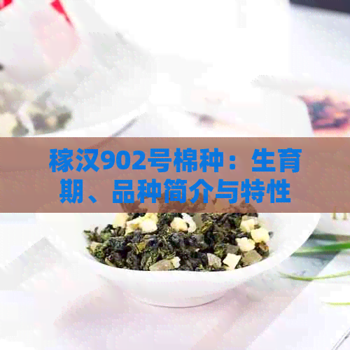 稼汉902号棉种：生育期、品种简介与特性