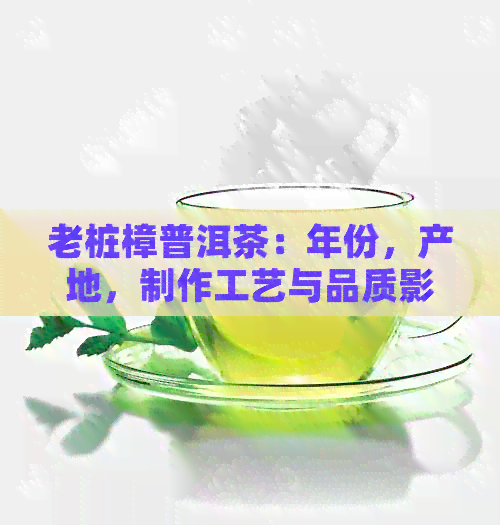 老桩樟普洱茶：年份，产地，制作工艺与品质影响