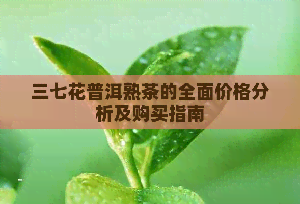 三七花普洱熟茶的全面价格分析及购买指南