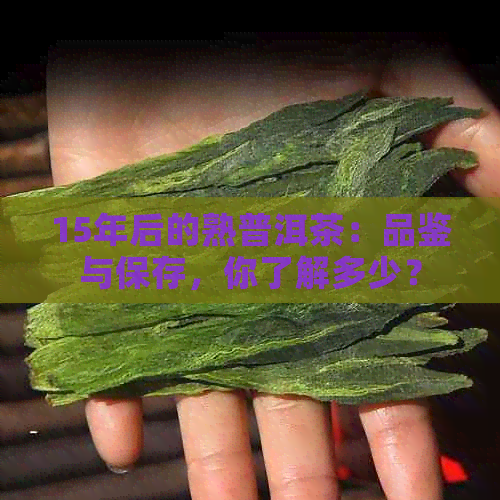 15年后的熟普洱茶：品鉴与保存，你了解多少？