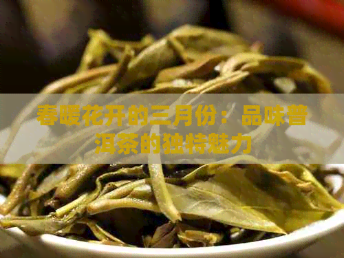 春暖花开的三月份：品味普洱茶的独特魅力