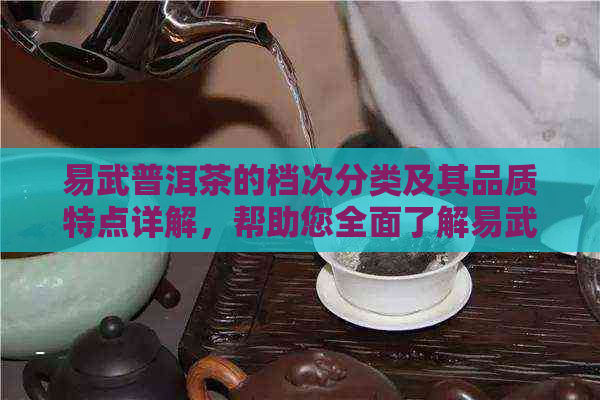 易武普洱茶的档次分类及其品质特点详解，帮助您全面了解易武普洱茶