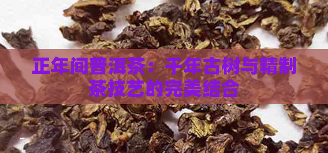 正年间普洱茶：千年古树与精制茶技艺的完美结合