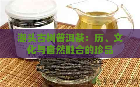 湖头古树普洱茶：历、文化与自然融合的珍品