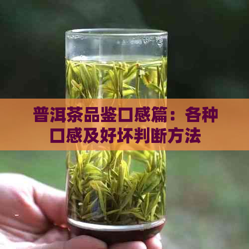 普洱茶品鉴口感篇：各种口感及好坏判断方法