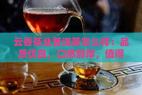 云香茶业普洱茶怎么样：品质优良，口感醇厚，值得品尝！