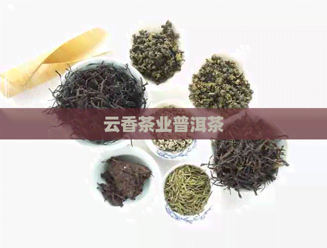 云香茶业普洱茶