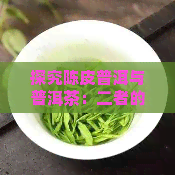 探究陈皮普洱与普洱茶：二者的独特魅力与区别