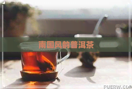 南国风韵普洱茶