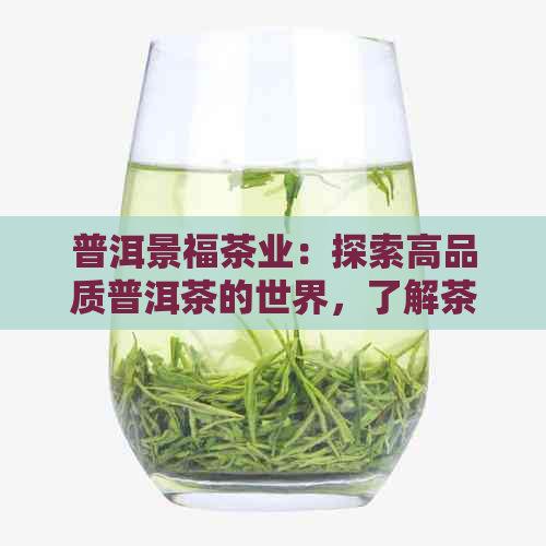 普洱景福茶业：探索高品质普洱茶的世界，了解茶叶种类、制作工艺和品鉴技巧