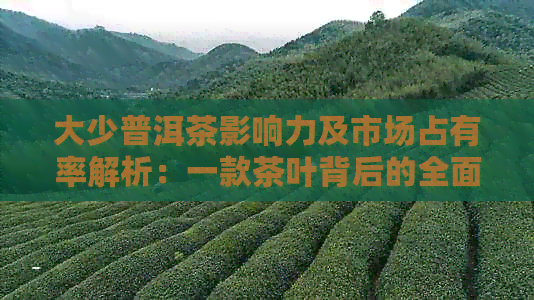 大少普洱茶影响力及市场占有率解析：一款茶叶背后的全面探索