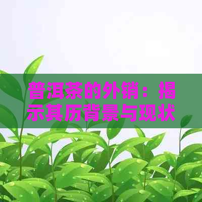 普洱茶的外销：揭示其历背景与现状