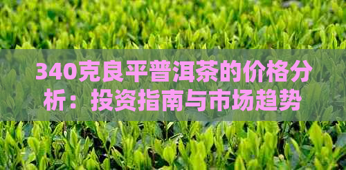 340克良平普洱茶的价格分析：投资指南与市场趋势