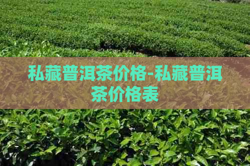 私藏普洱茶价格-私藏普洱茶价格表