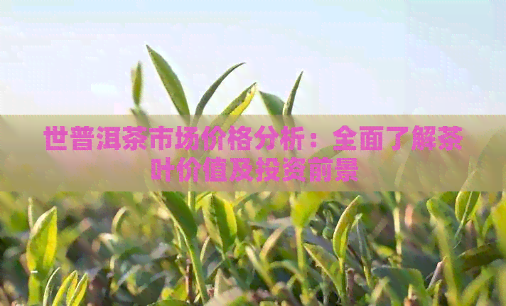 世普洱茶市场价格分析：全面了解茶叶价值及投资前景