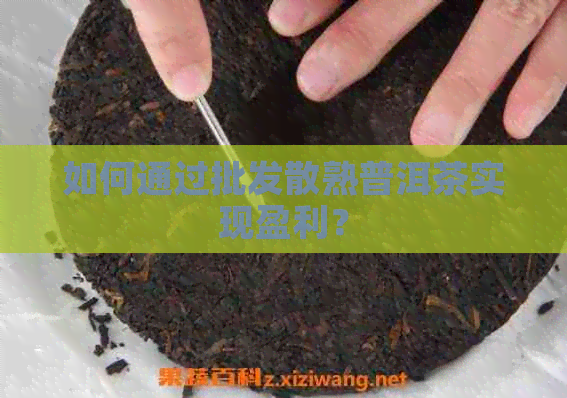 如何通过批发散熟普洱茶实现盈利？