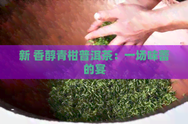 新 香醇青柑普洱茶：一场味蕾的宴