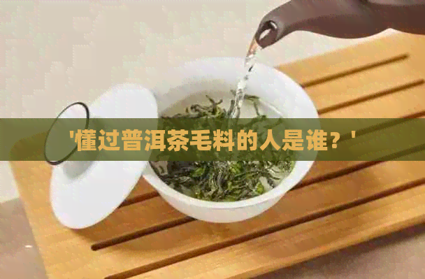 '懂过普洱茶毛料的人是谁？'