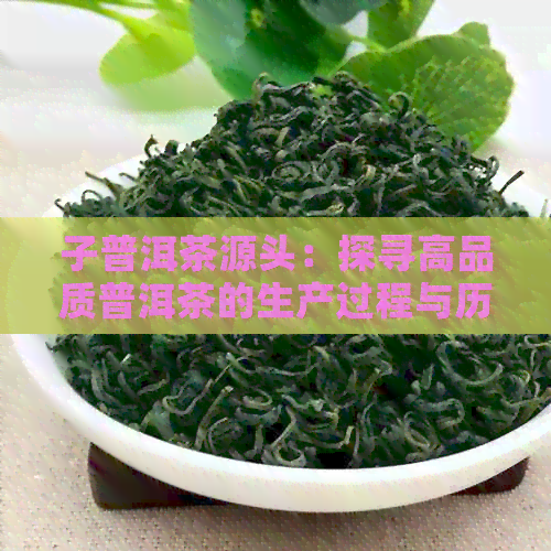 子普洱茶源头：探寻高品质普洱茶的生产过程与历文化背景