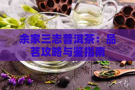 余家三志普洱茶：品茗攻略与鉴指南