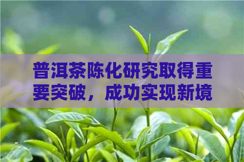 普洱茶陈化研究取得重要突破，成功实现新境界