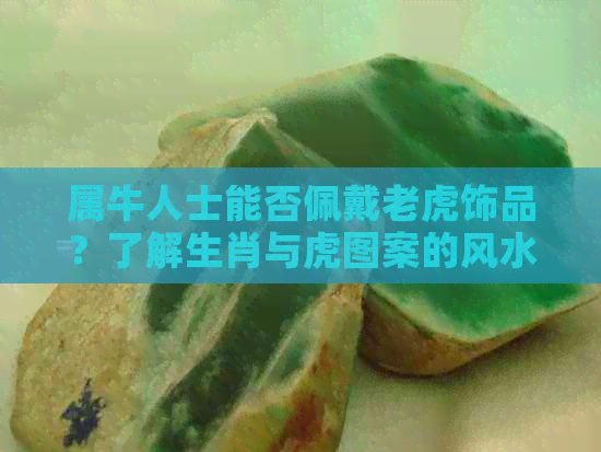 属牛人士能否佩戴老虎饰品？了解生肖与虎图案的风水学关系