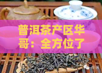 普洱茶产区华哥：全方位了解普洱茶产地、品种及制作工艺的详细指南