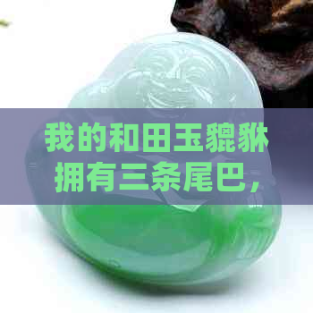 我的和田玉貔貅拥有三条尾巴，这背后的寓意与作用是什么？