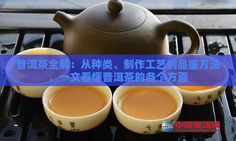 普洱茶全解：从种类、制作工艺到品鉴方法，一文看懂普洱茶的各个方面