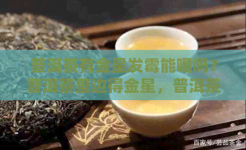 普洱茶有金星发霉能喝吗？普洱茶里边得金星，普洱茶出金星是怎么回事？