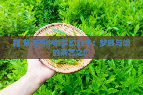 新 普洱茶中的梦幻仙子：梦瑶与她的茶艺之道