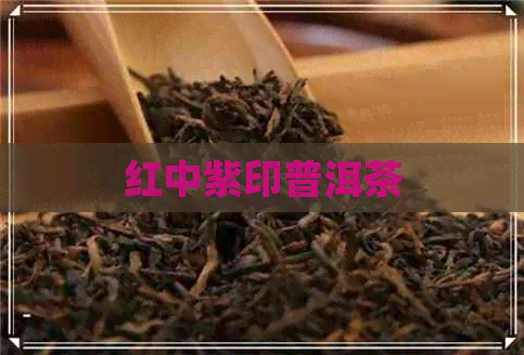 红中紫印普洱茶