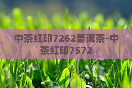 中茶红印7262普洱茶-中茶红印7572