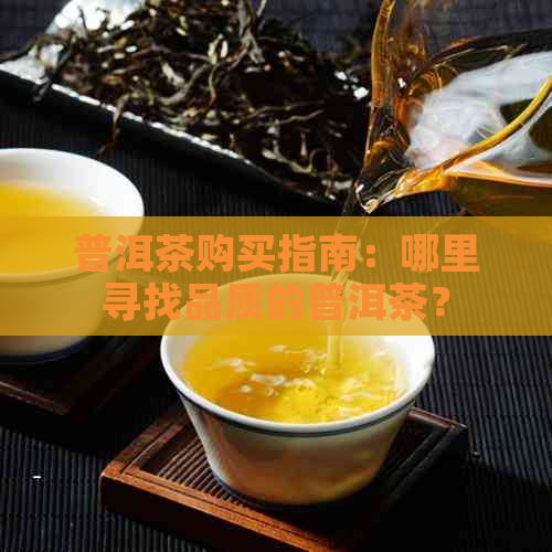 普洱茶购买指南：哪里寻找品质的普洱茶？