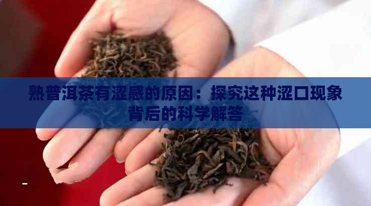 熟普洱茶有涩感的原因：探究这种涩口现象背后的科学解答