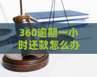 360逾期一小时还款怎么办？这里有全面解决方案！