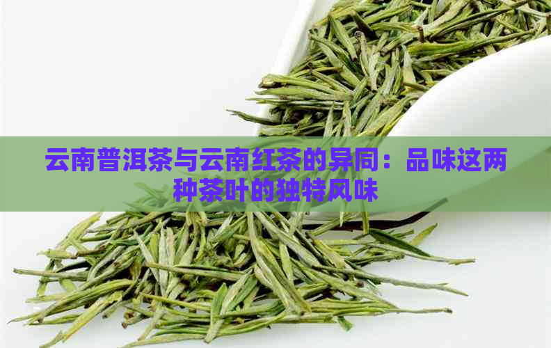 云南普洱茶与云南红茶的异同：品味这两种茶叶的独特风味