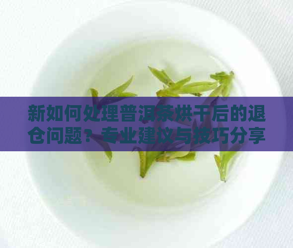 新如何处理普洱茶烘干后的退仓问题？专业建议与技巧分享