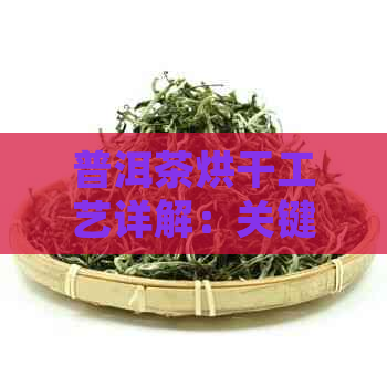 普洱茶烘干工艺详解：关键度控制与影响因素分析