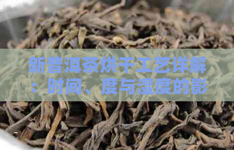 新普洱茶烘干工艺详解：时间、度与湿度的影响