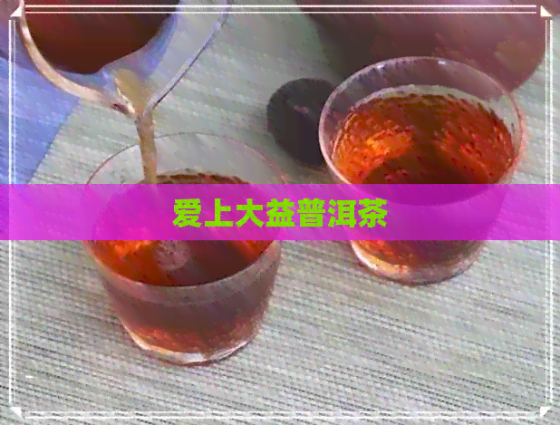 爱上大益普洱茶