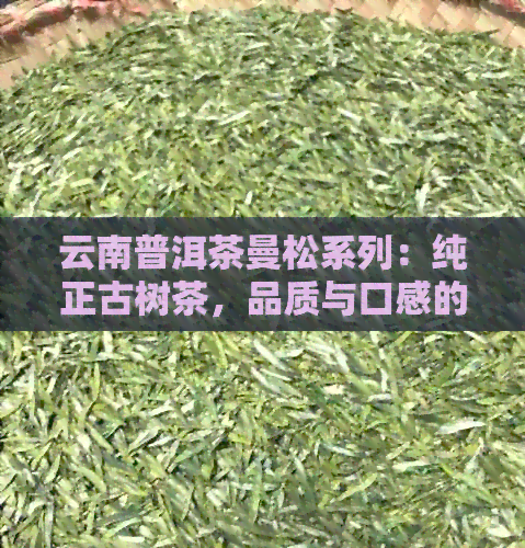 云南普洱茶曼松系列：纯正古树茶，品质与口感的完美结合